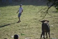 Lavalenguas 2014