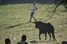 Lavalenguas 2014