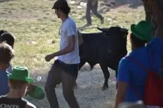 Lavalenguas 2014