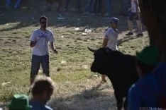 Lavalenguas 2014