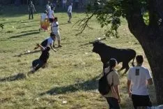 Lavalenguas 2014