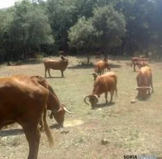 Visita de la peña a Reta