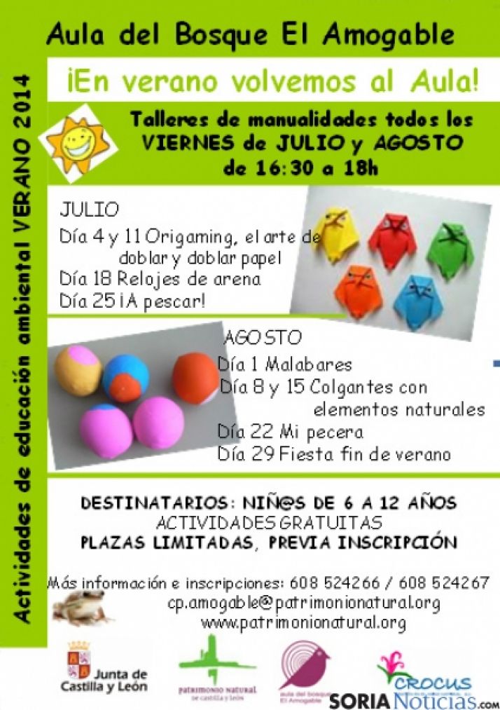 Programa de actividades.
