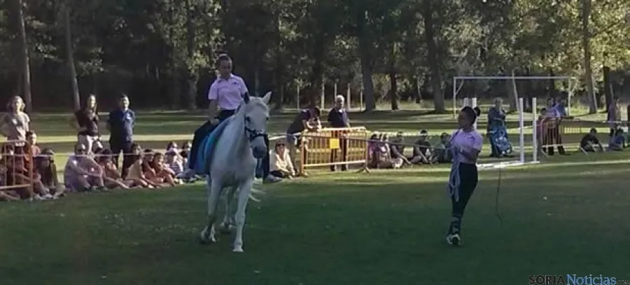 Feria ecuestre y andaluza