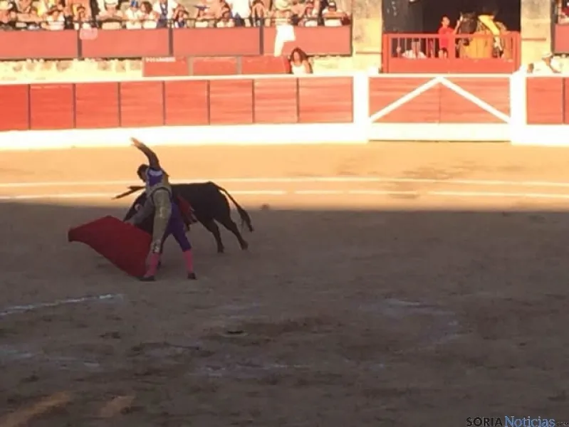 Toros en El Burgo de Osma
