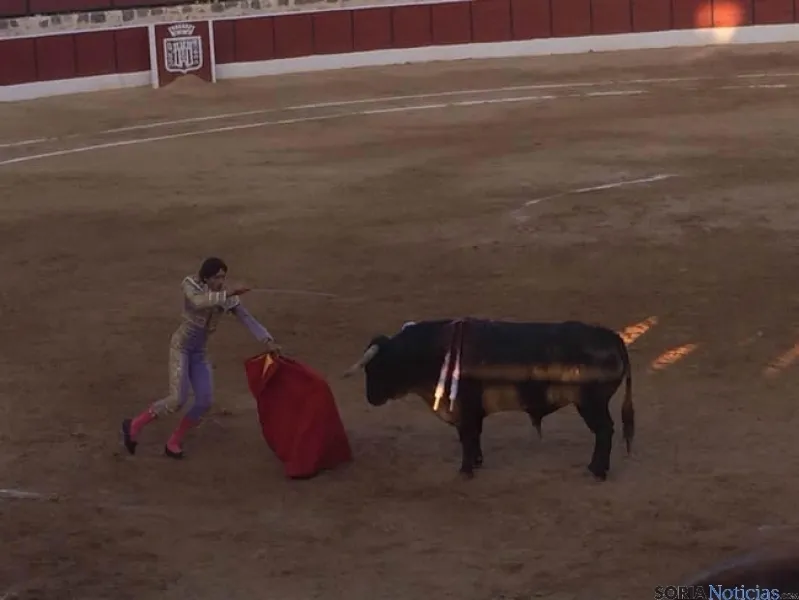 Toros en El Burgo de Osma