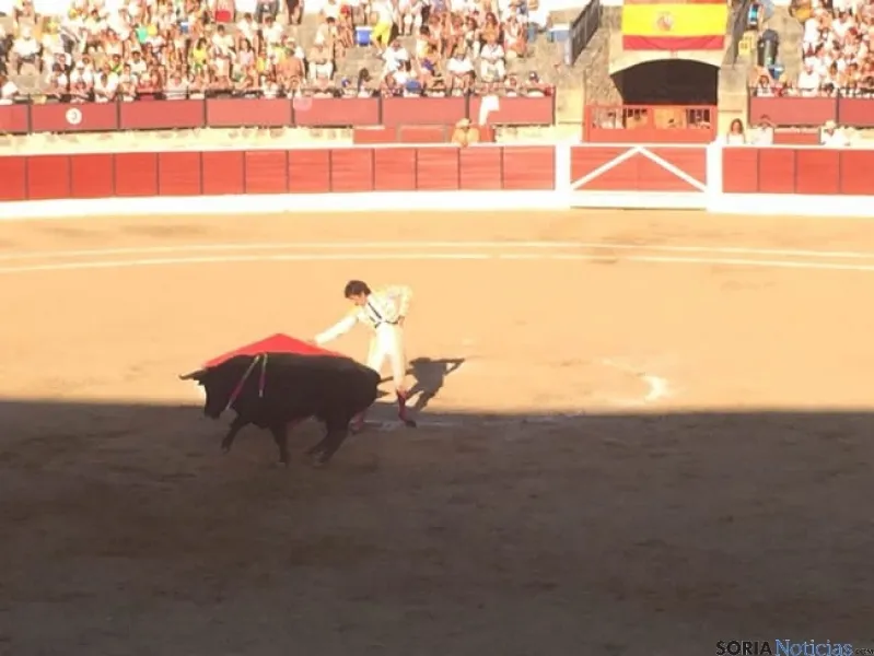 Toros en El Burgo de Osma