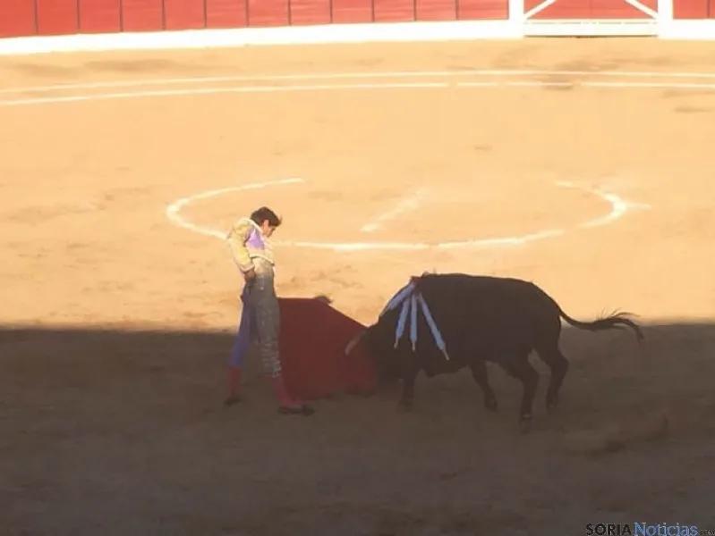 Toros en El Burgo de Osma