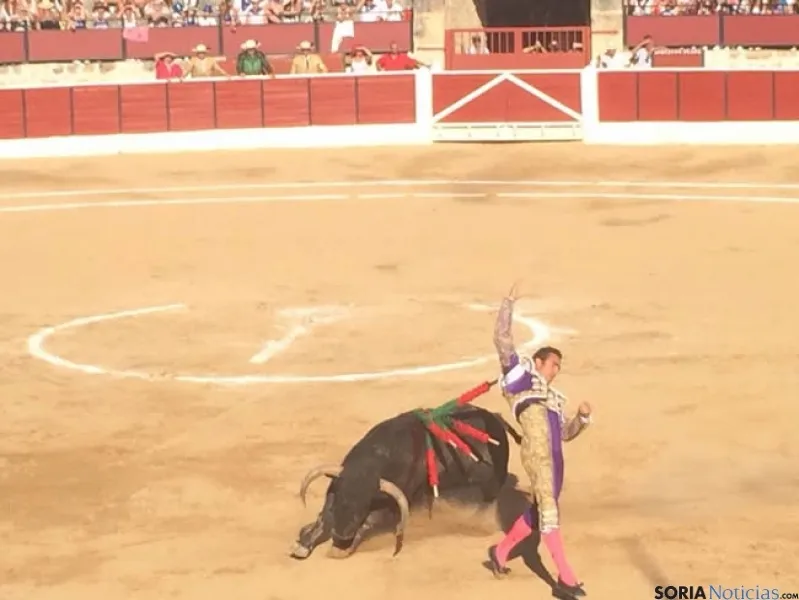Toros en El Burgo de Osma