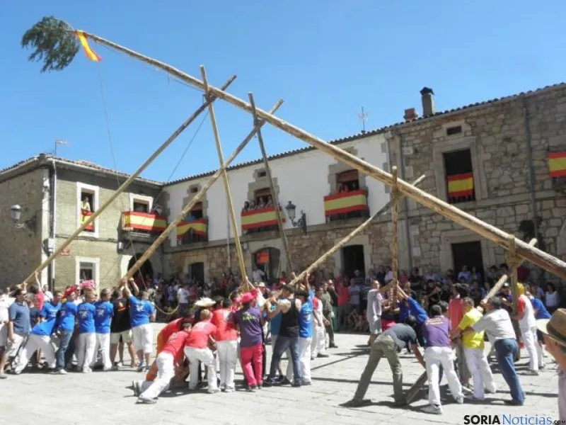 Pingada del pino en la plaza
