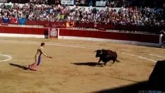 Toros en El Burgo de Osma