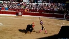 Toros en El Burgo de Osma