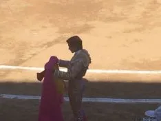Toros en El Burgo de Osma