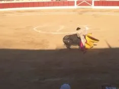 Toros en El Burgo de Osma