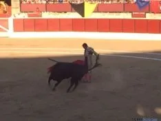 Toros en El Burgo de Osma