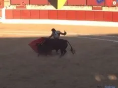 Toros en El Burgo de Osma