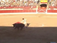 Toros en El Burgo de Osma
