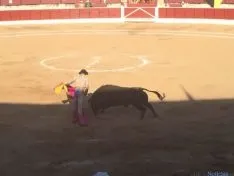 Toros en El Burgo de Osma