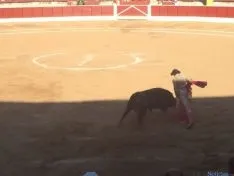 Toros en El Burgo de Osma