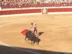 Toros en El Burgo de Osma
