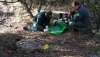 Agentes medioambientales investigan la muerte de un buitre. 