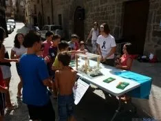 Instante del Ice Bucket Challenge en Ágreda
