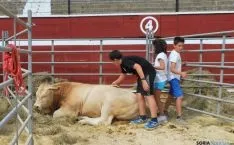 La feria llegaba este año a su sexta edición. / SN