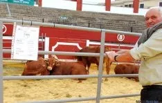 La feria llegaba este año a su sexta edición. / SN