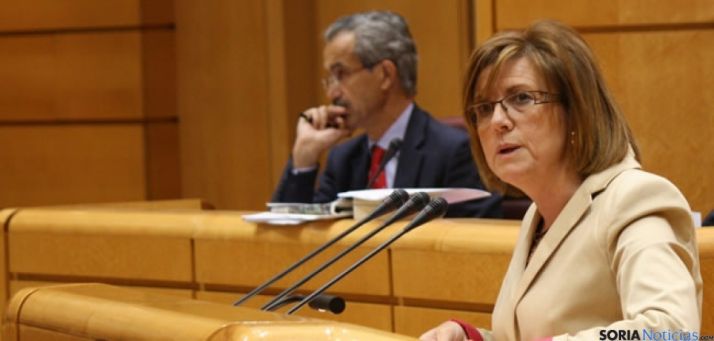 La presidenta del PP soriano, Marimar Angulo. / SN