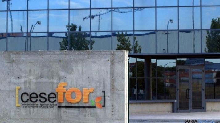 Imagen de la entrada al Cesefor. / SN