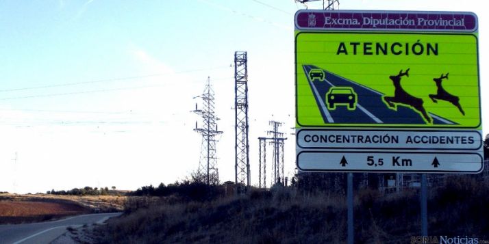 Señal horizontal en una calzada de la Diputación. / SN