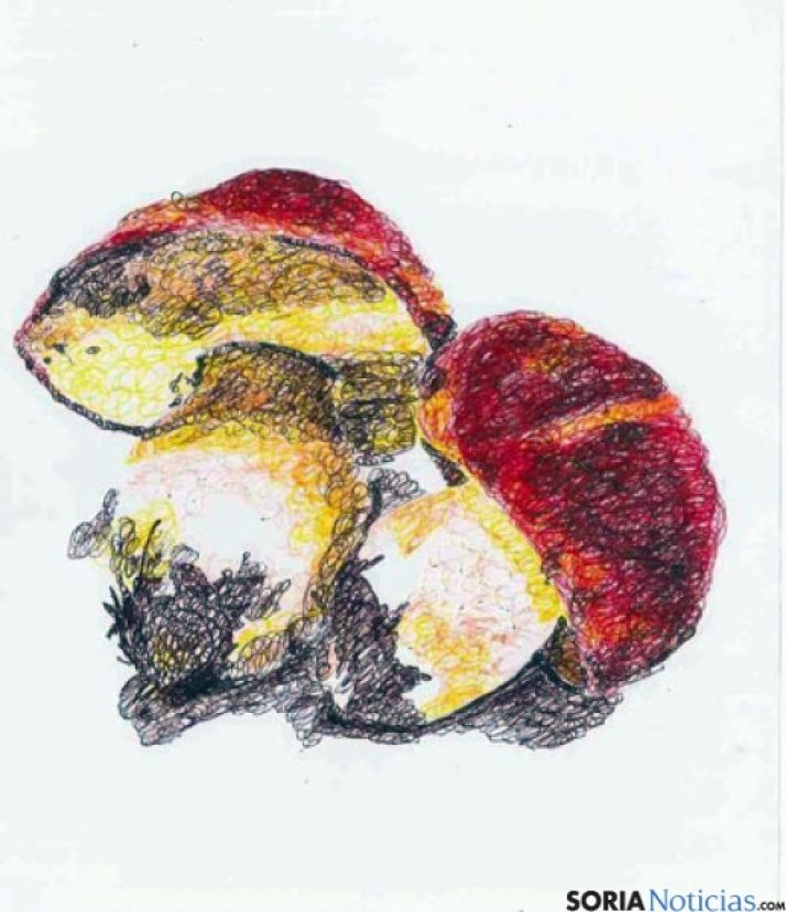 Dibujo ganador del cartel