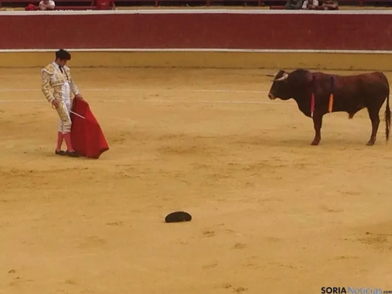 Novillada de San Saturio 2014