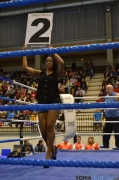 Velada de boxeo 2014