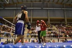 Velada de boxeo 2014