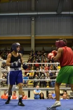Velada de boxeo 2014