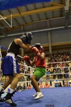 Velada de boxeo 2014