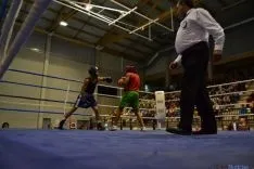 Velada de boxeo 2014