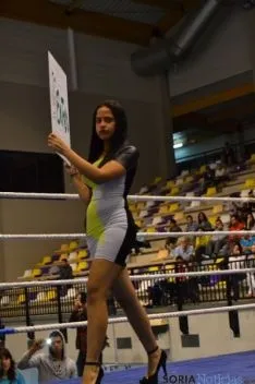 Velada de boxeo 2014