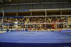 Velada de boxeo 2014