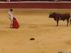 Novillada de San Saturio 2014