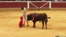 Novillada de San Saturio 2014