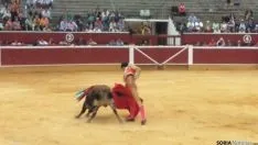 Novillada de San Saturio 2014