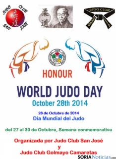 Cartel Día Mundial del Judo