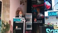 Javier Pérez Andrés