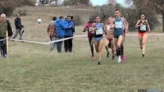 Cross de Soria