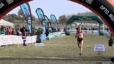 Cross de Soria