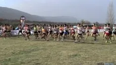 Cross de Soria