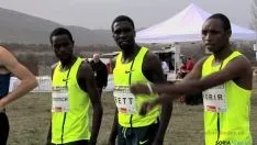 Cross de Soria