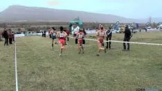 Cross de Soria